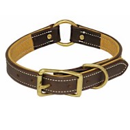 Dog Collar